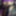 VioletBiTCH💜 Robe Resille Violette Full CAM4 VaneSsaBarBie #29