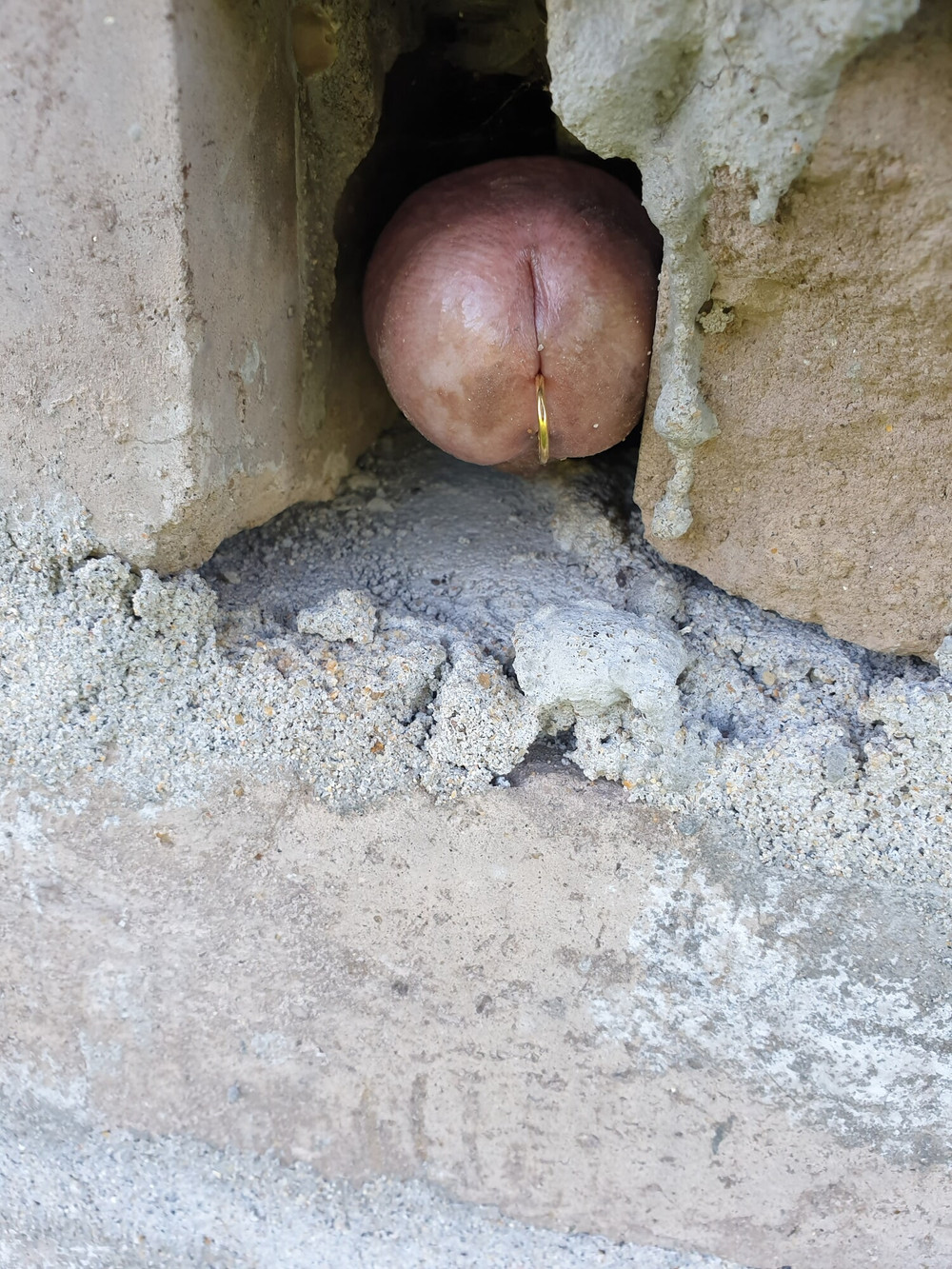 My sexy kinky cock #18
