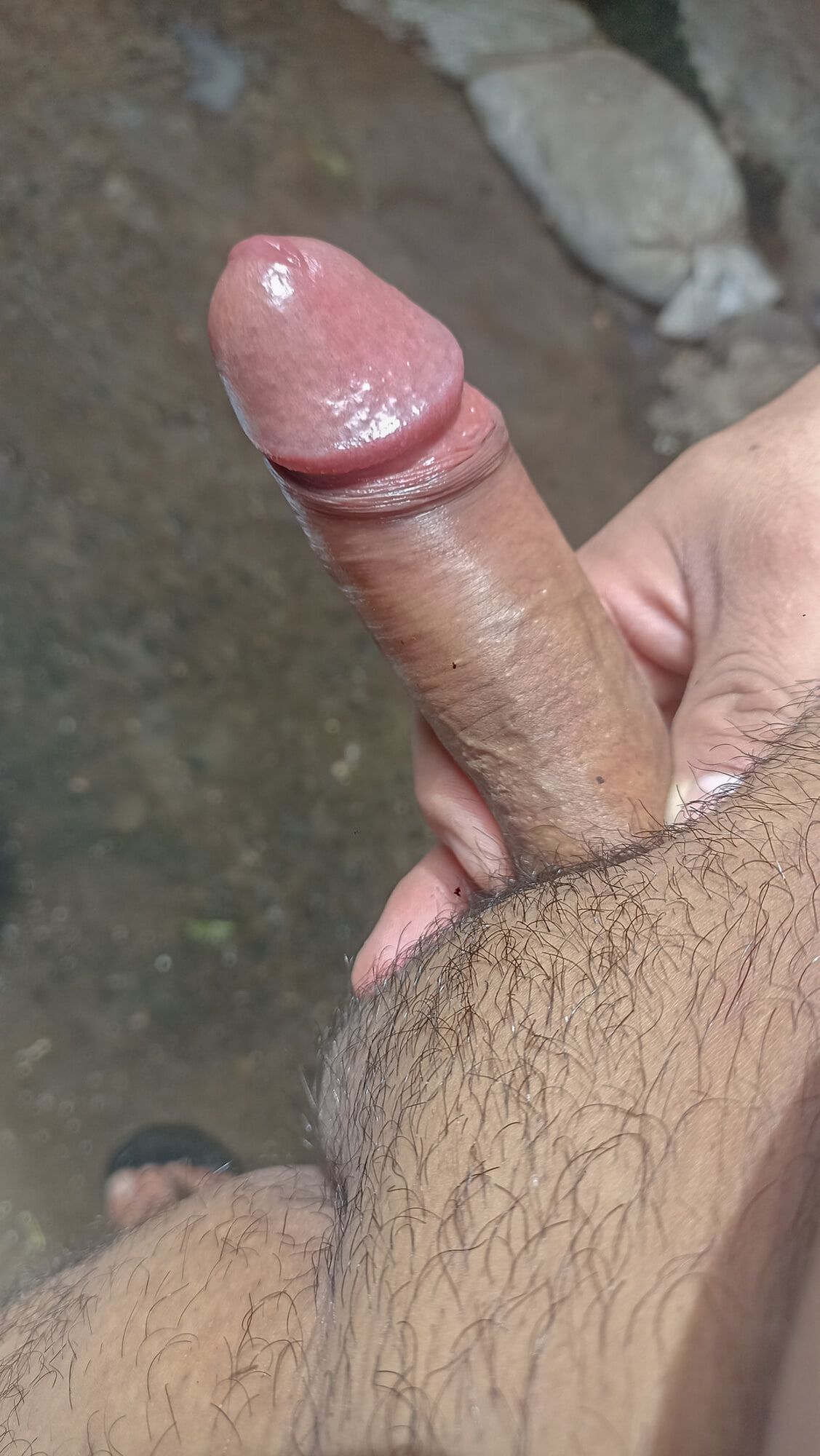 My penis beautiful and hairy but very erect - 02 #14