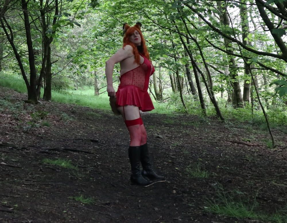 Would you like to hunt and catch this naughty little fox? #11