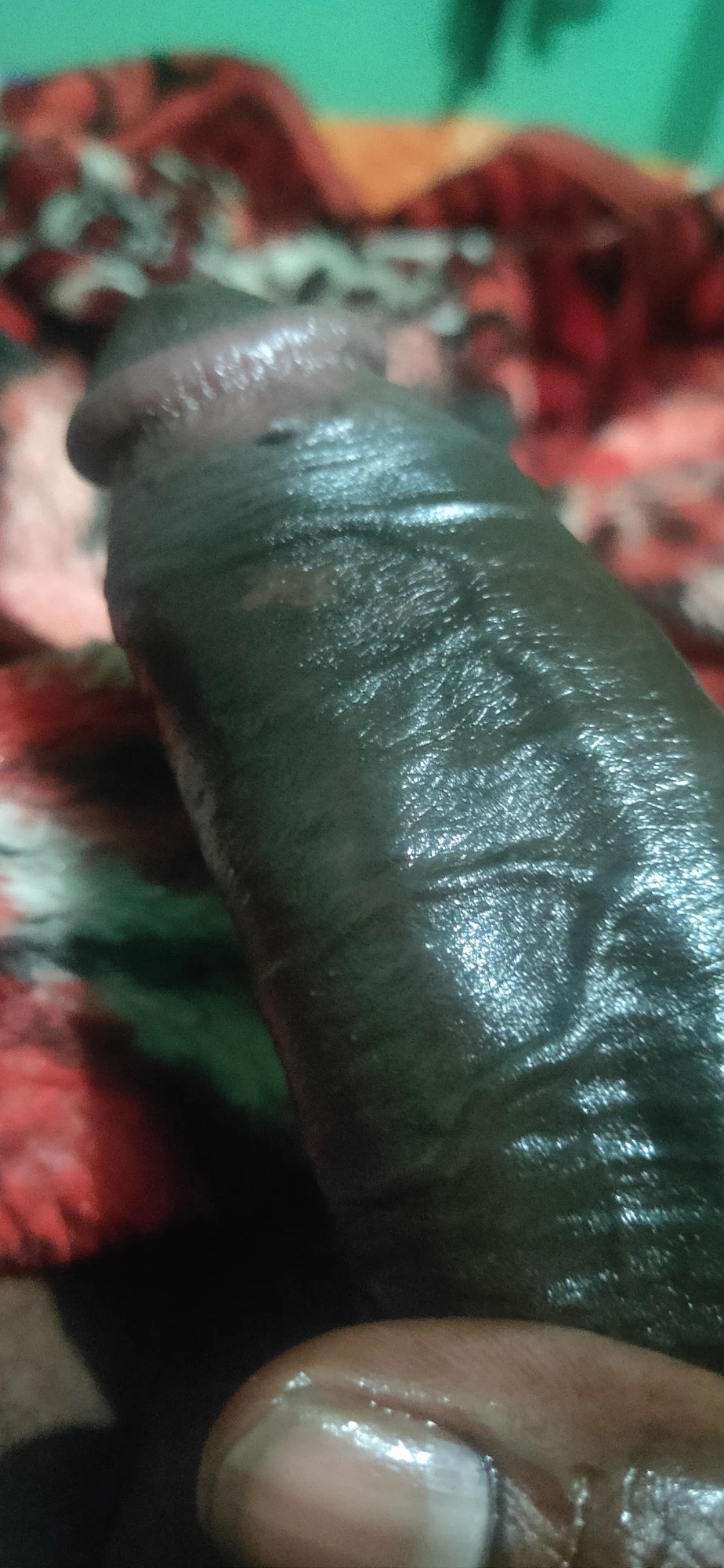 Indian black cock #2