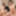 Ryu Enami &amp; Honoka Orihara :: A lesbian couple who wants som