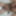 Hot Gay Gay Boy Old Man Gay Big Cock Gay Big Ass Gay Cum in 