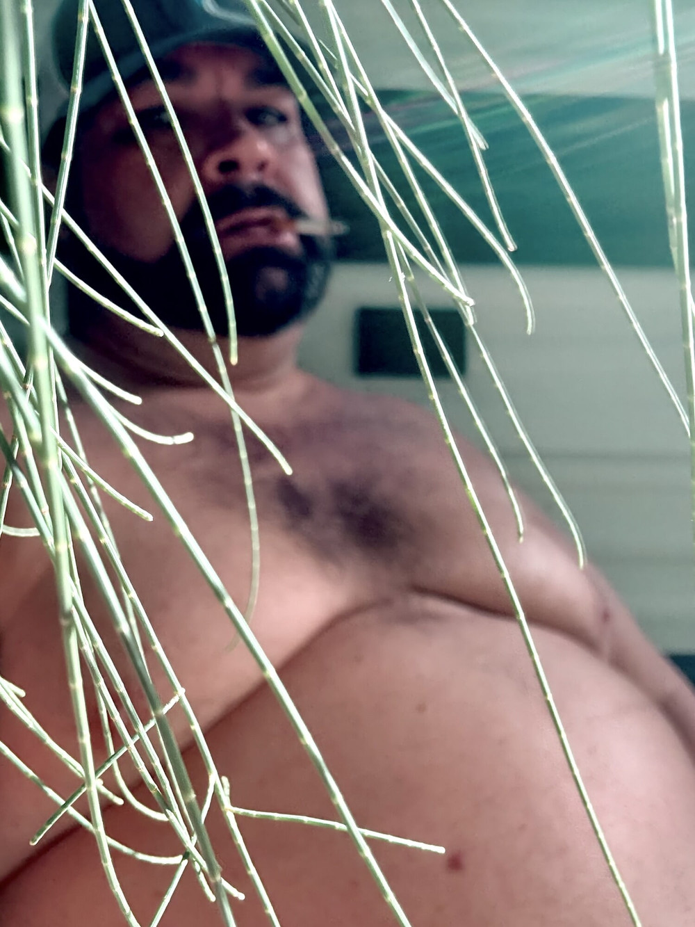 BrewsterBear Again #28