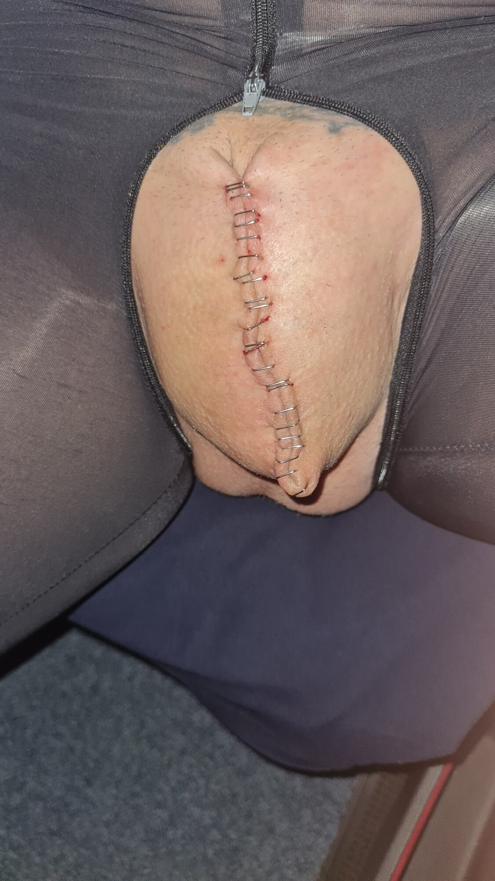 Stapled cock and balls #7