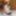 Rinka Mizuhara :: A Danfer Temptation From Wife - CARIBBEANC #2