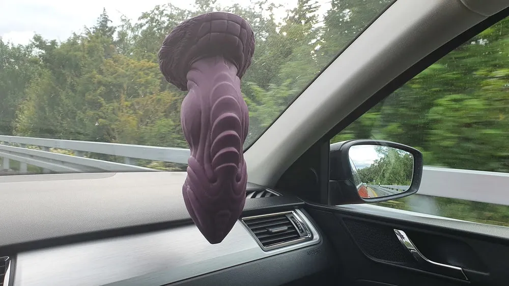 Roadtrip with Bad Dragon Apollo XL #6