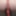 Zooming anus #10