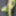 Green Mesh Lingerie #42