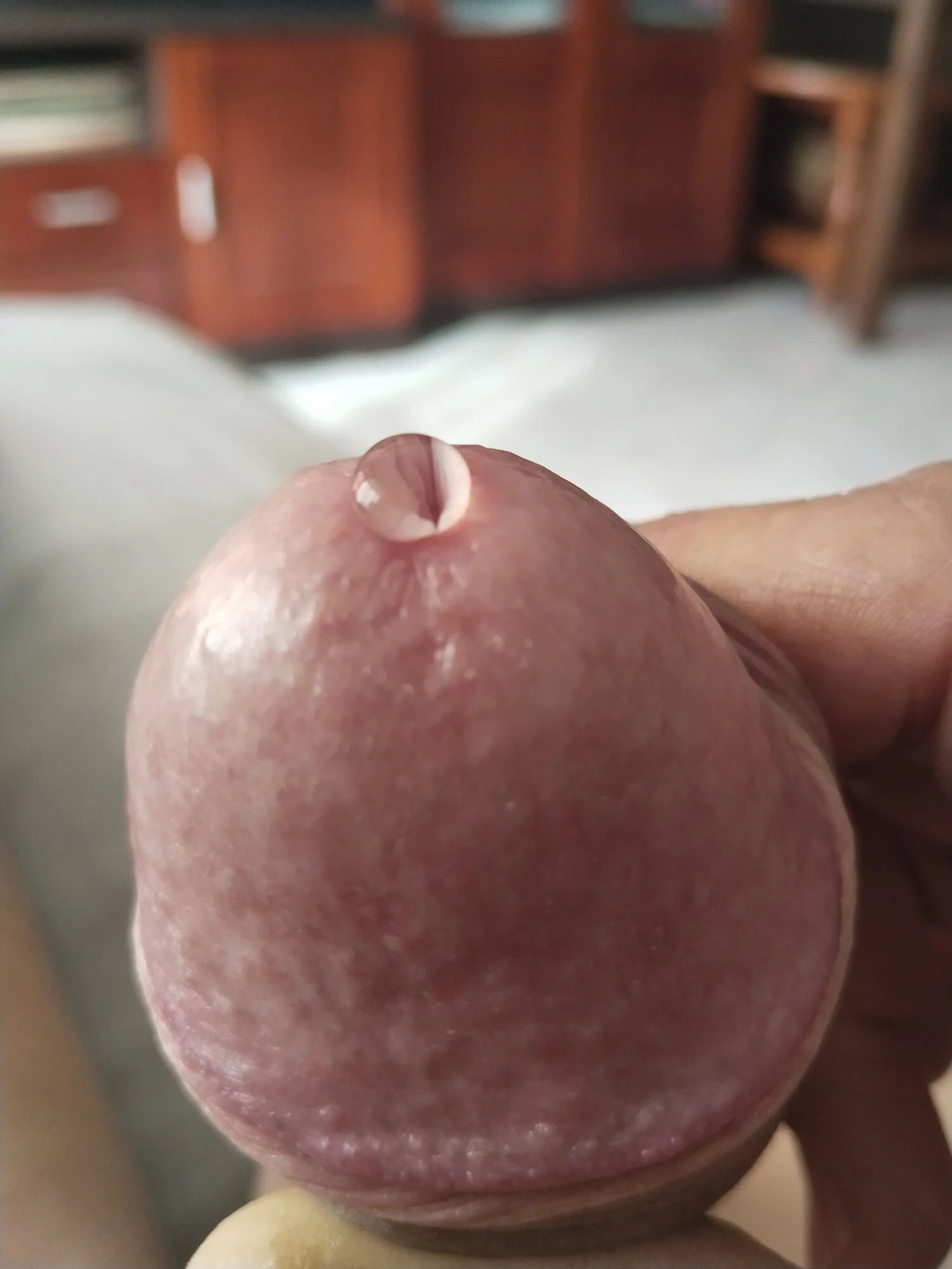 Hard gland, shaved cock, precum drop
