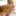 Erotik porno fotoğraflar 313