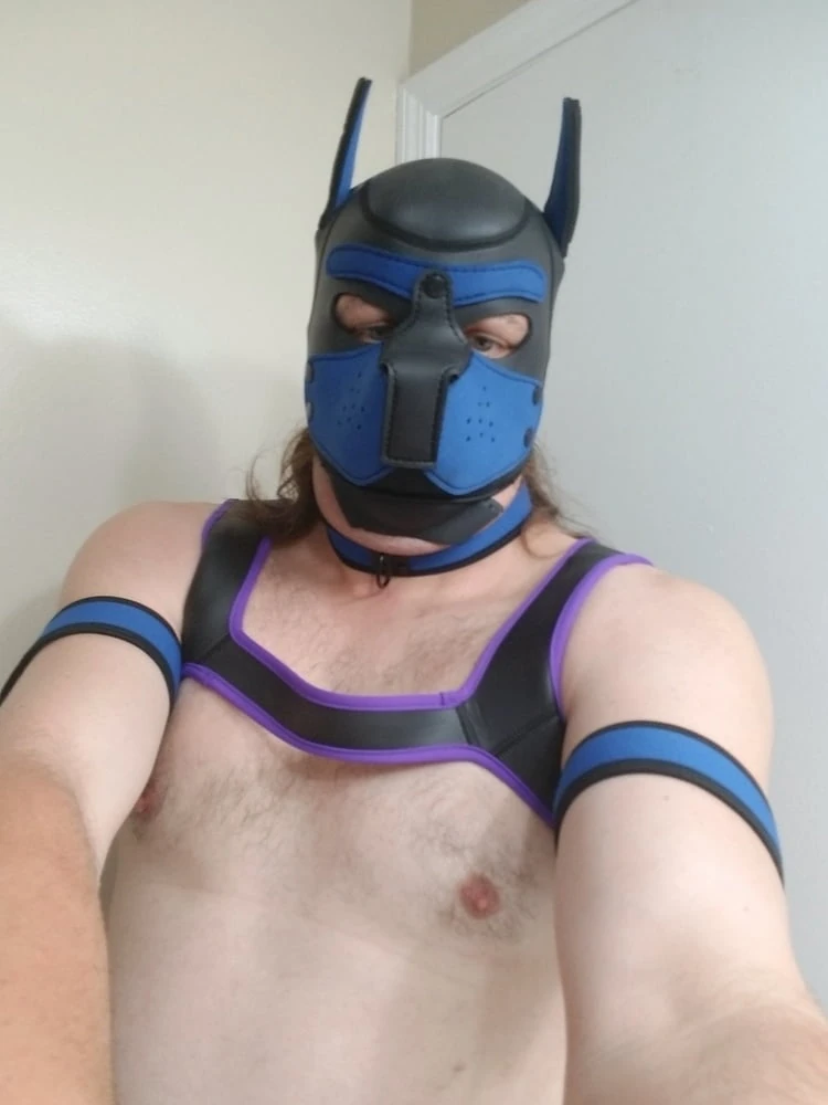 Pup #3