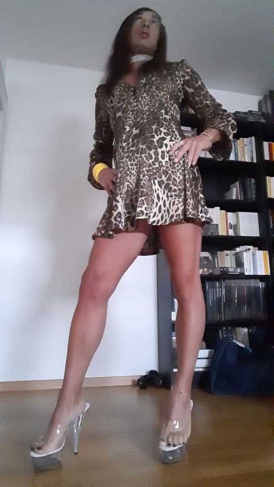 Sissy Tygra in leopard dress on 2019 octobre. #36