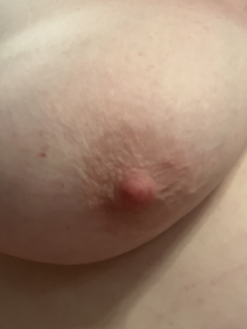 Tits #2