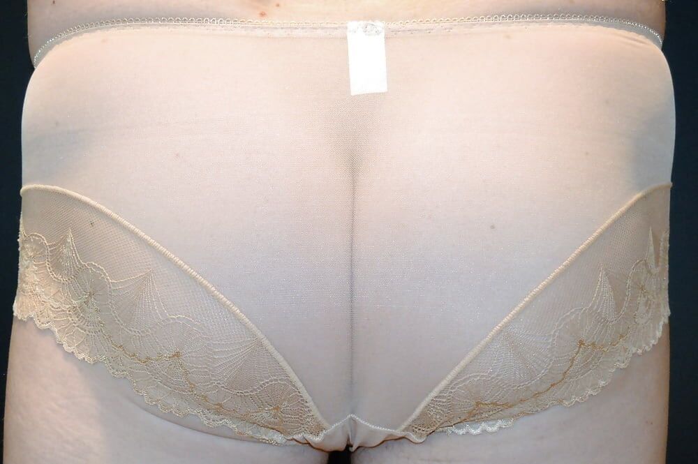 Thrilled Panties and Christen Dior Sheer Stockings #44