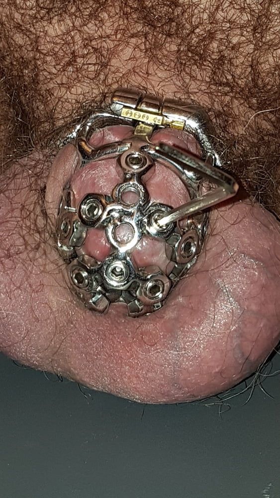 My best chastity cage #59