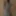Ücretsiz AnnieElegant Fotoğrafları