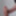 Small but thick Dildo (diameter 7 cm)