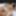 Petite coed Selena is getting fucked