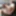 Anal solo compilation of horny images