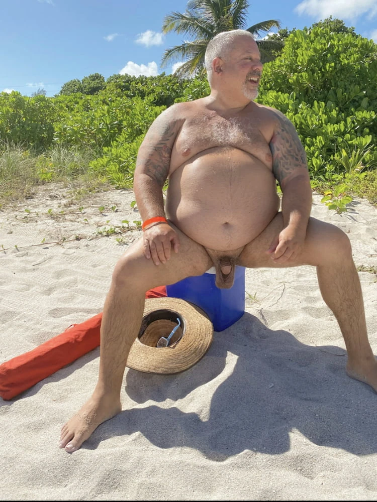 Chub bear  