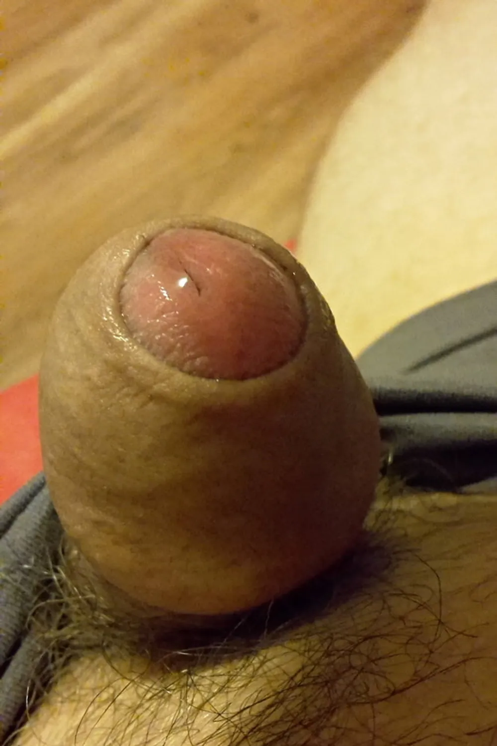 Precum #4