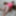 Big beautiful woman plays with her pink dildo #37