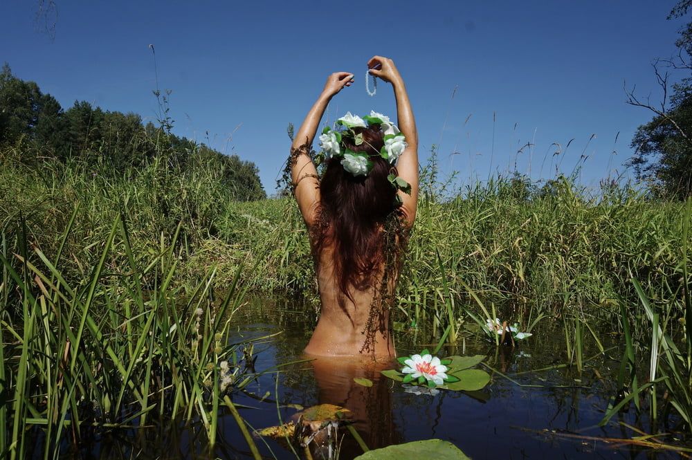  In Pond with Waterflowers 2 #42