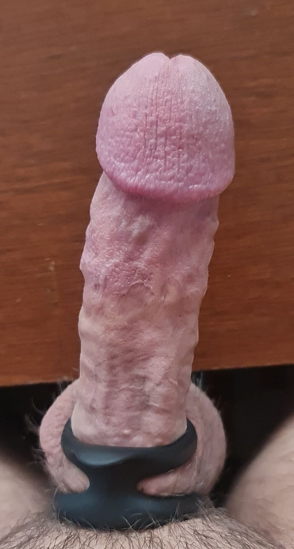 My veiny hard cock in close up #12