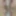 June 29, 2024 Daily duty of the naked slave #3
