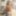 Hanna Howeell Free Photos