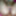 18 Year Indian Girl Homemade Hairy Tight Pussy  #2