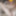 ほんの数個の裸のポーズ