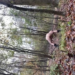 In the woods 