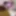 Hot Wife Masturbating Hairy Pussy Lexi Horny Big Clit Play