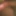 Asian hairy cock