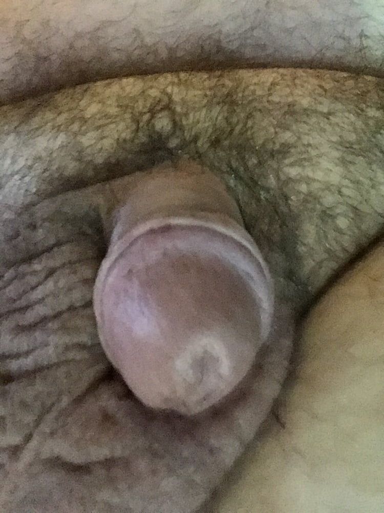 Cock collection #26