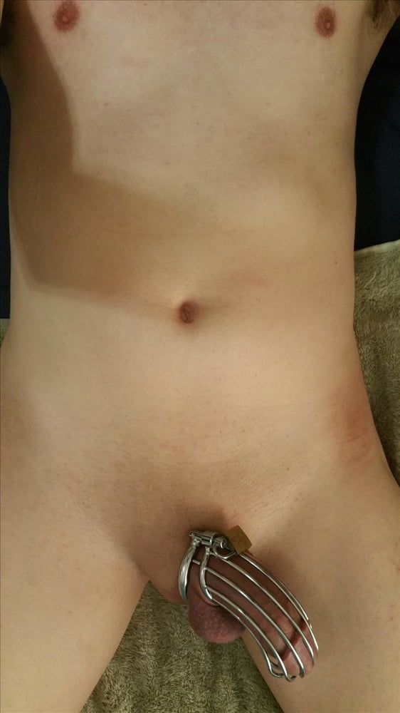 Cock in chastity #3