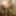 Sodomie (suite) #11