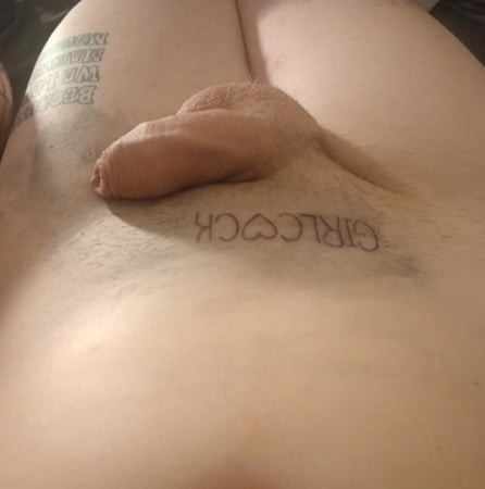 ゴックの写真