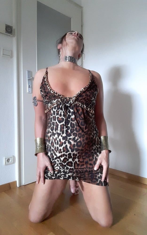 Tygra slut in leopard dress for Longdick Jack. #30
