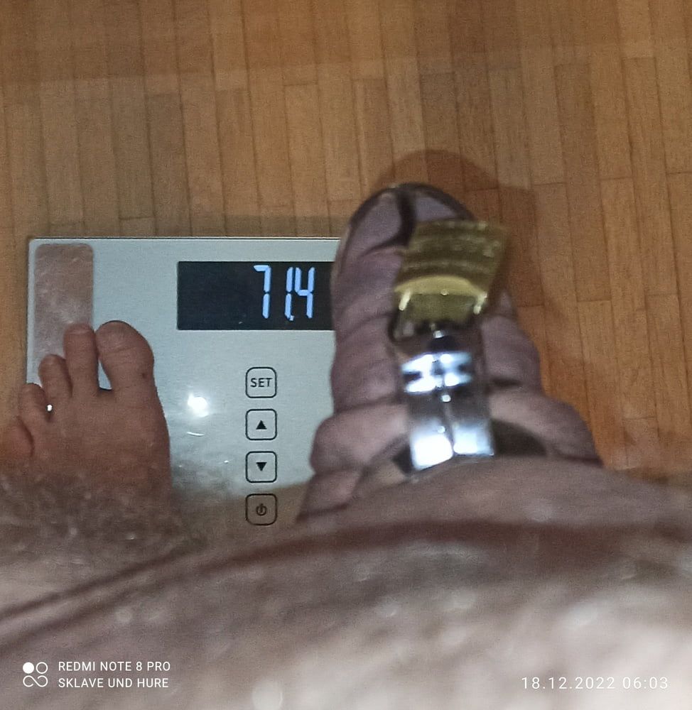 mandatory weighing and cagecheck of 18.12.2022 #7