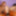  Dani Jensen and Veronica Avluv are neighbors, who are going #19