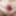Opening my anal butthole for a deepview into my gape tunnel