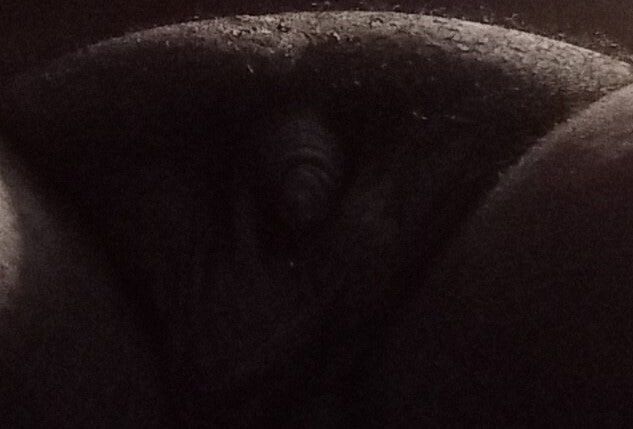 13 Photos of my Penis #2