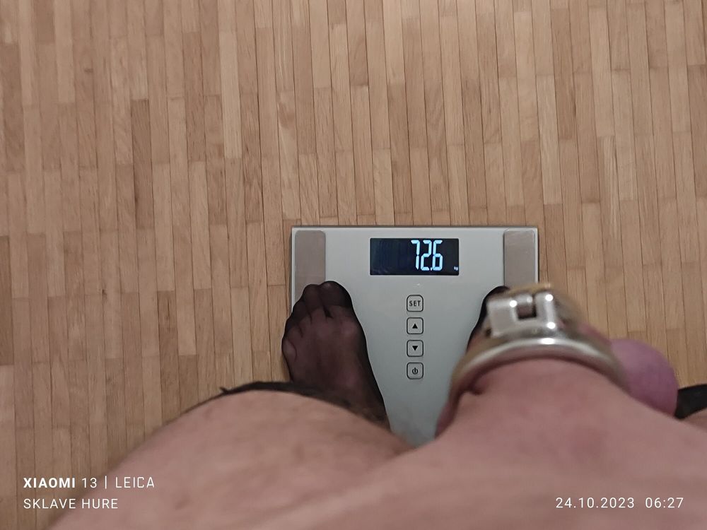 Mandatory weighing cagecheck plugcheck Oktober 24, 2023 #3