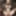 Sexy Elven Warrior Women CGI - Ultra HD 4K - Set 1
