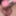 Cum with pink vibro