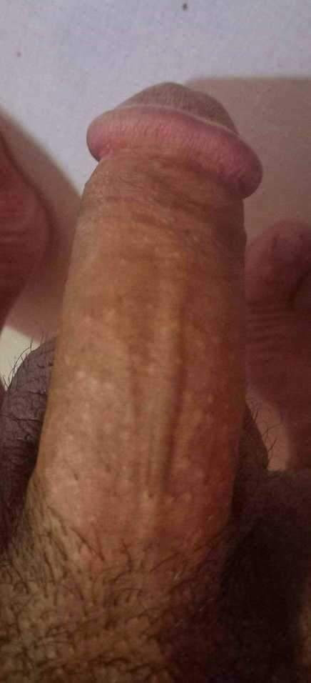 प्रेमी 