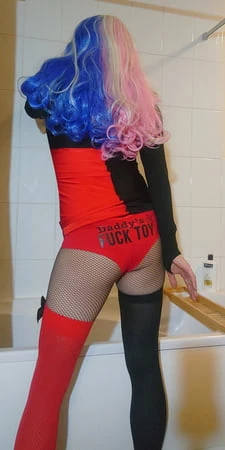 harley quinn   arkham         